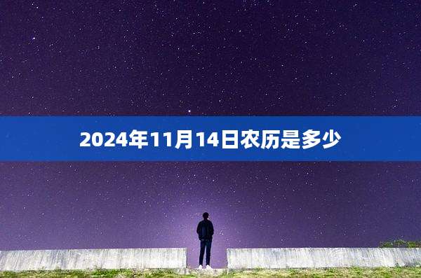 2024年11月14日农历是多少