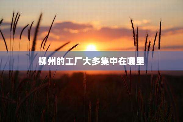 柳州的工厂大多集中在哪里