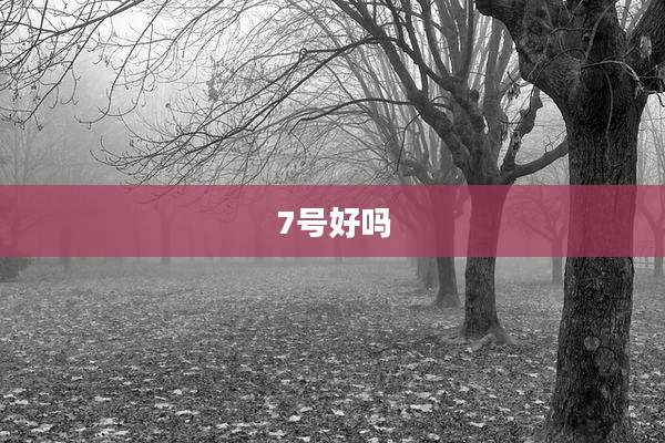 7号好吗