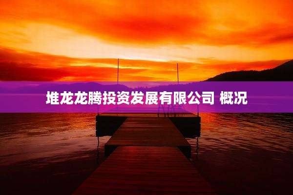 堆龙龙腾投资发展有限公司 概况