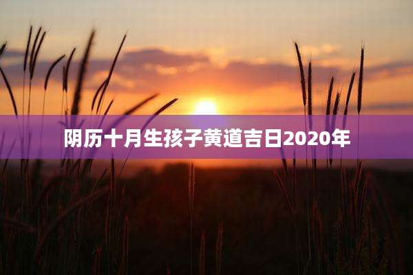 阴历十月生孩子黄道吉日2020年