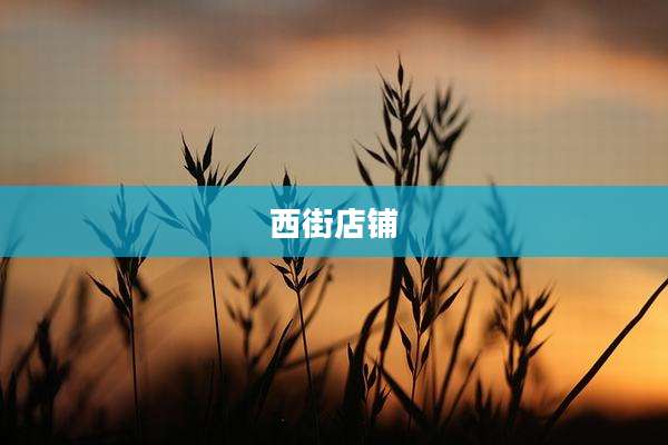 西街店铺