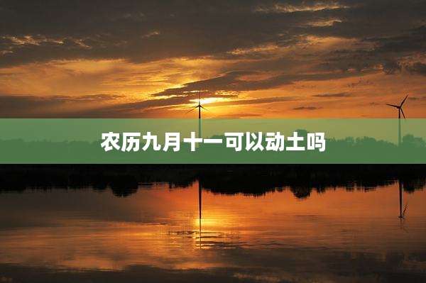 农历九月十一可以动土吗