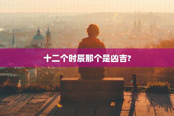 十二个时辰那个是凶吉?