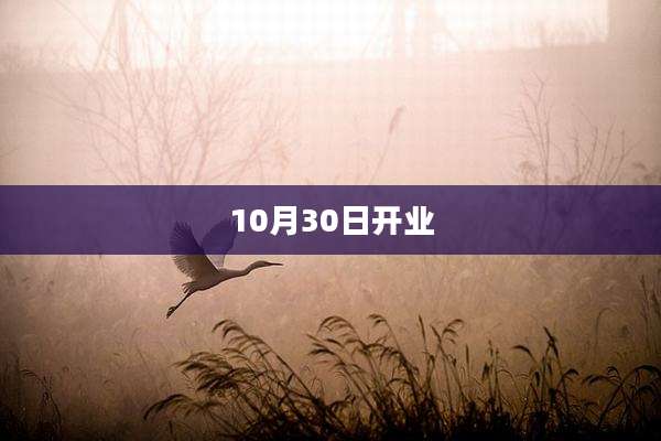 10月30日开业