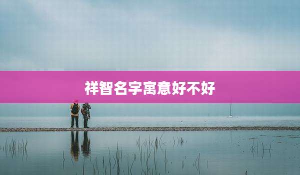 祥智名字寓意好不好