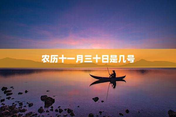 农历十一月三十日是几号