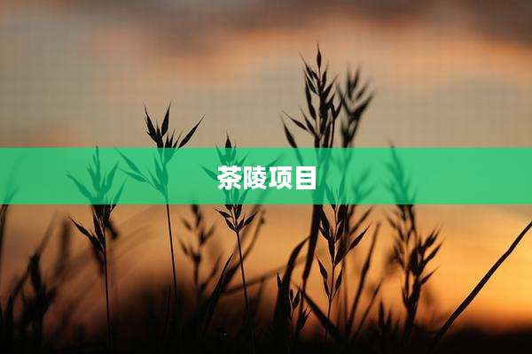 茶陵项目