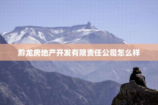 黔龙房地产开发有限责任公司怎么样