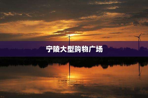 宁陵大型购物广场