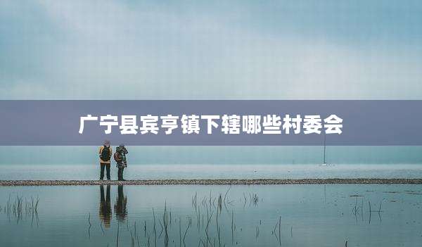 广宁县宾亨镇下辖哪些村委会