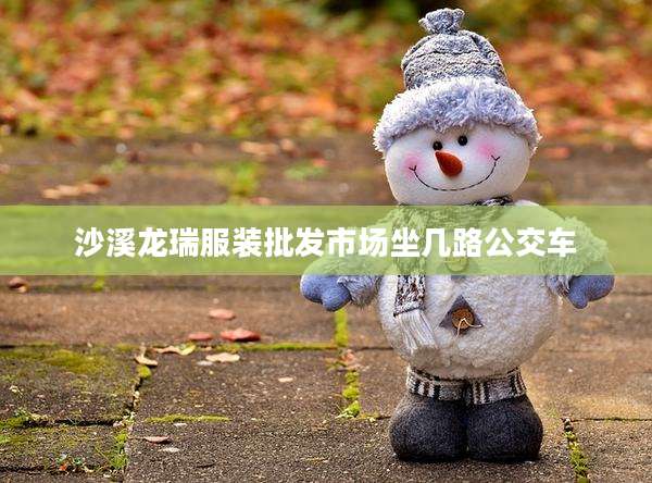 沙溪龙瑞服装批发市场坐几路公交车