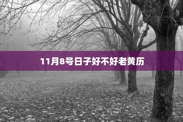 11月8号日子好不好老黄历