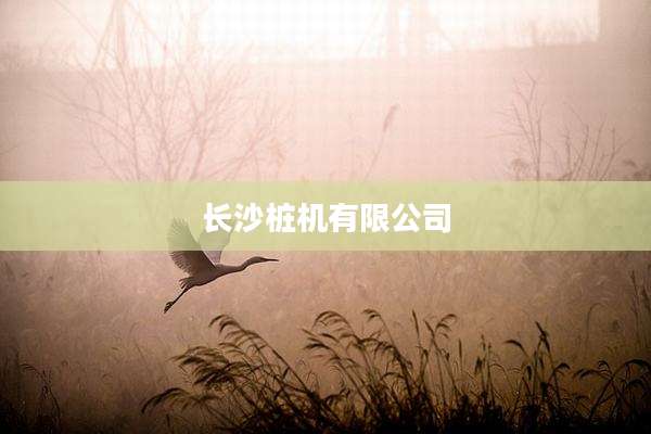 长沙桩机有限公司