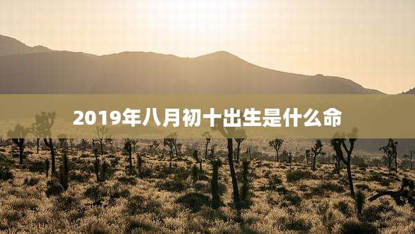 2019年八月初十出生是什么命