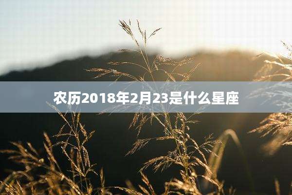 农历2018年2月23是什么星座