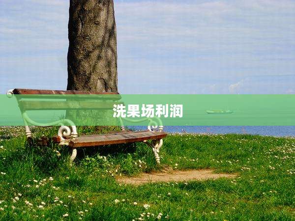 洗果场利润