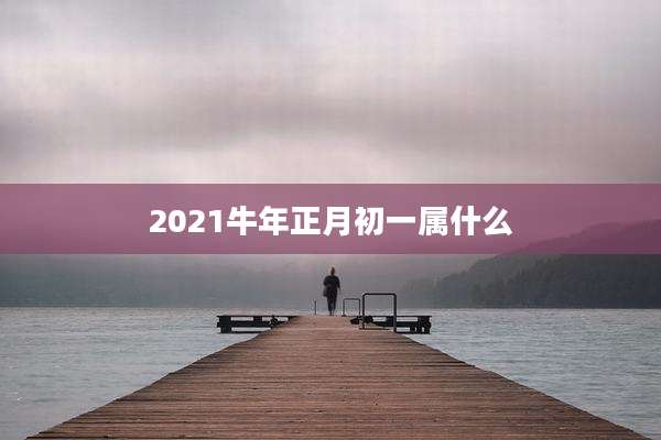 2021牛年正月初一属什么