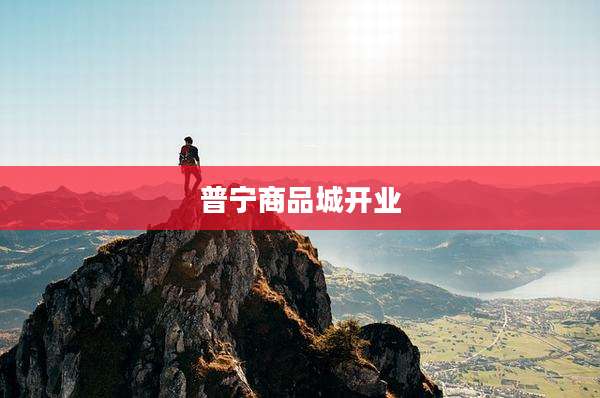 普宁商品城开业