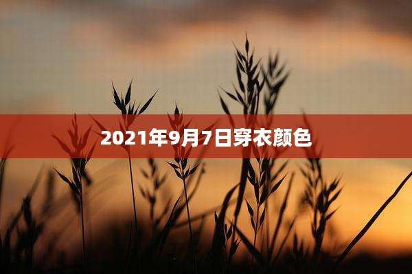 2021年9月7日穿衣颜色