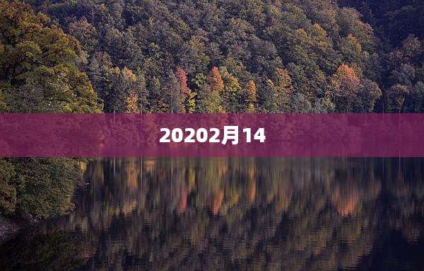 20202月14