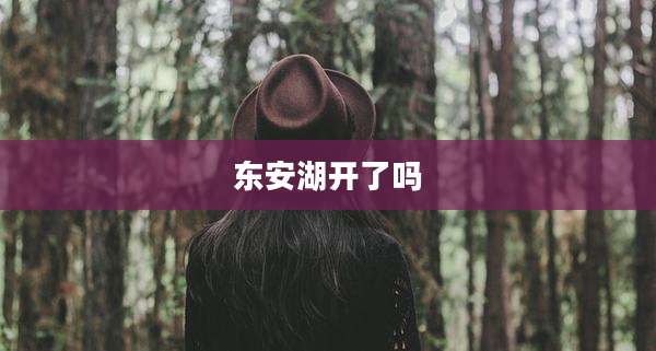 东安湖开了吗