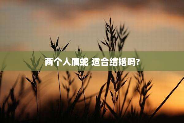 两个人属蛇 适合结婚吗?