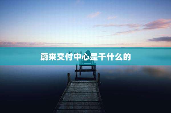 蔚来交付中心是干什么的