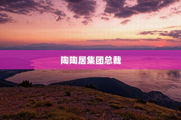 陶陶居集团总裁