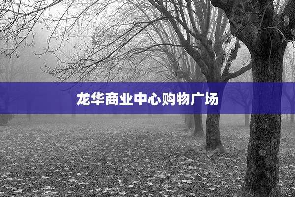 龙华商业中心购物广场