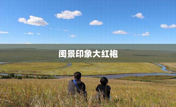 闽景印象大红袍