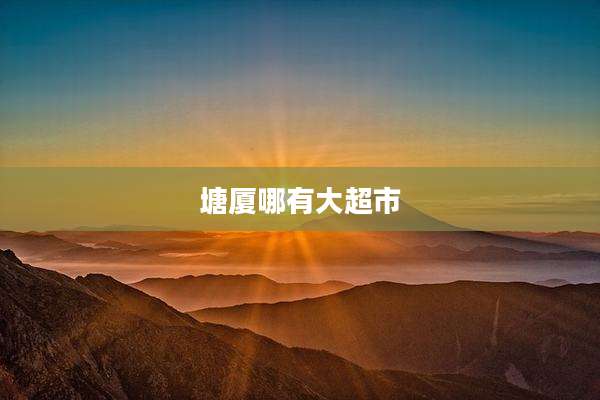 塘厦哪有大超市