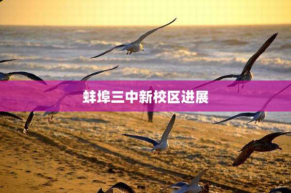 蚌埠三中新校区进展