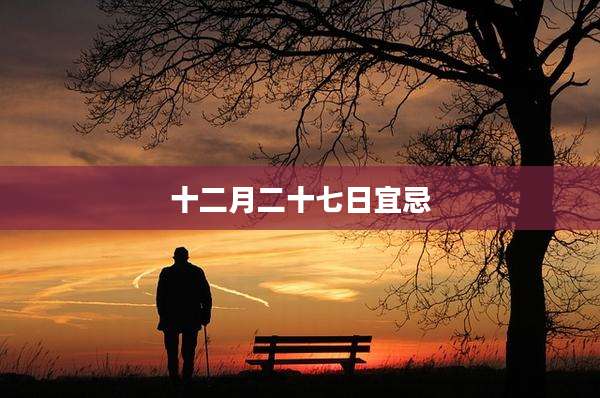 十二月二十七日宜忌