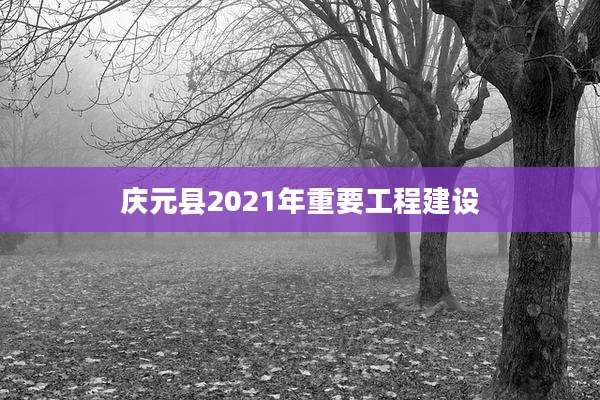 庆元县2021年重要工程建设