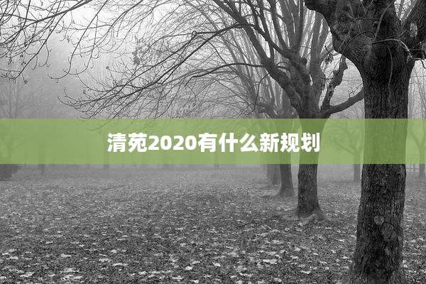 清苑2020有什么新规划
