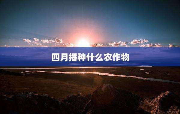 四月播种什么农作物