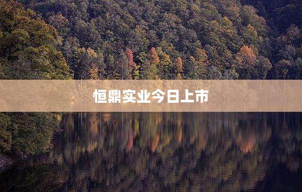 恒鼎实业今日上市