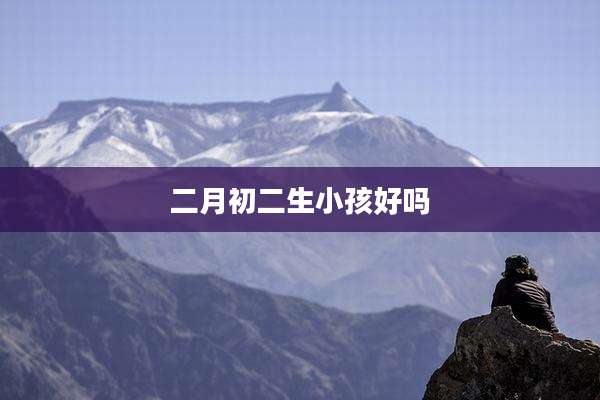 二月初二生小孩好吗