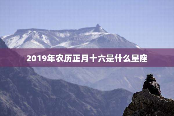 2019年农历正月十六是什么星座