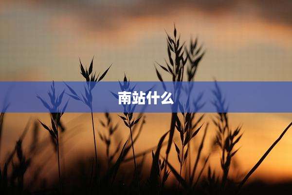 南站什么