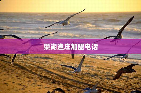 巢湖渔庄加盟电话