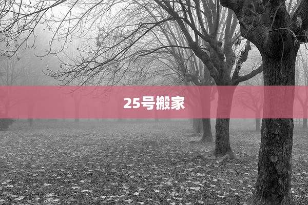 25号搬家