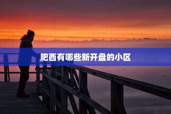 肥西有哪些新开盘的小区