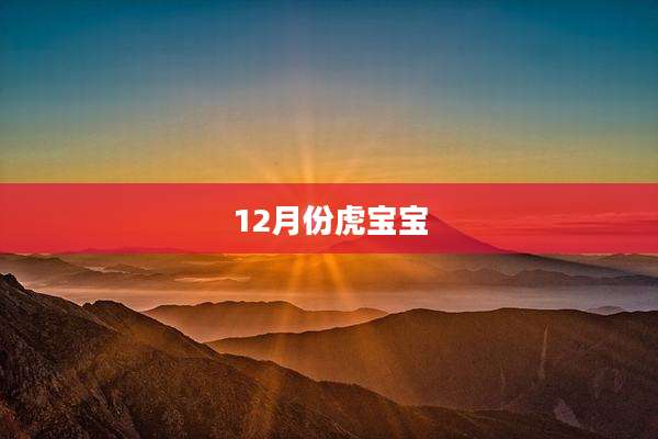 12月份虎宝宝