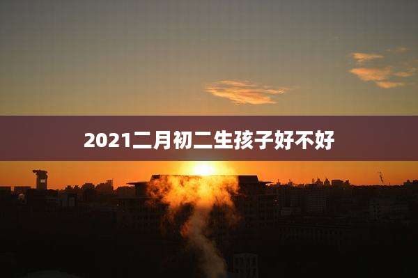 2021二月初二生孩子好不好