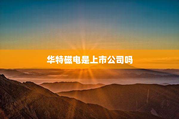 华特磁电是上市公司吗