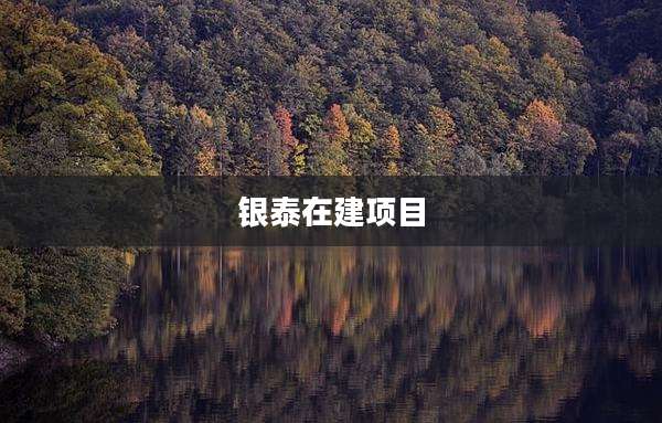 银泰在建项目