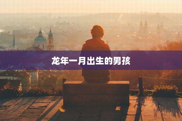 龙年一月出生的男孩