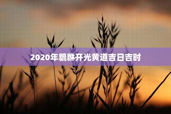 2020年貔貅开光黄道吉日吉时